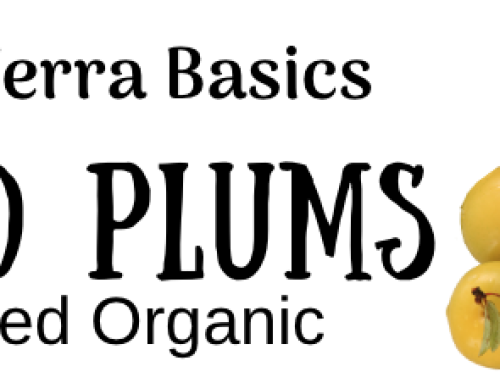 Shiro Plum Recipes